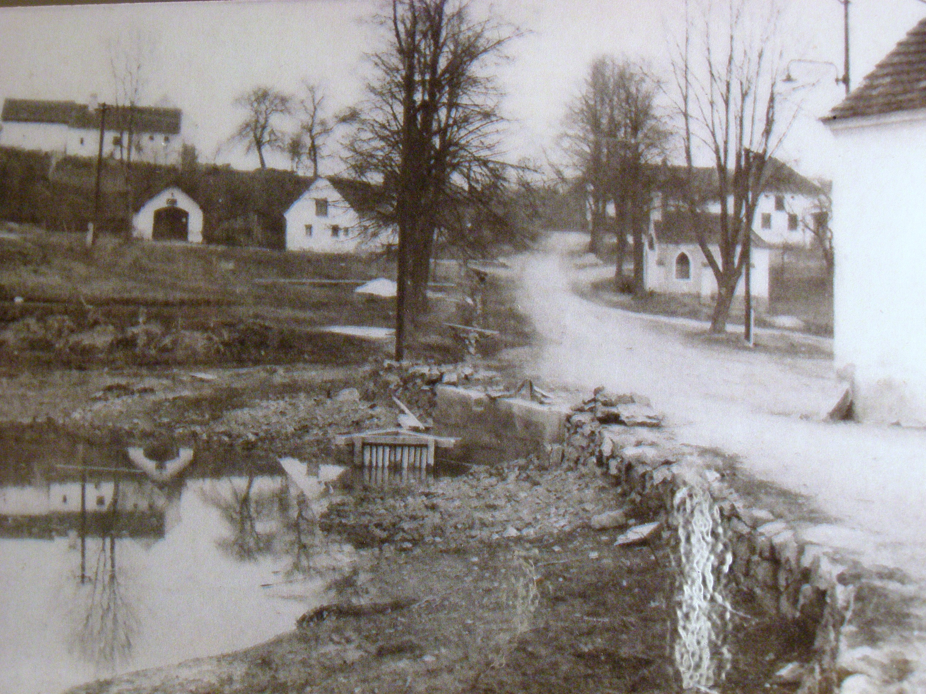 P3160195
