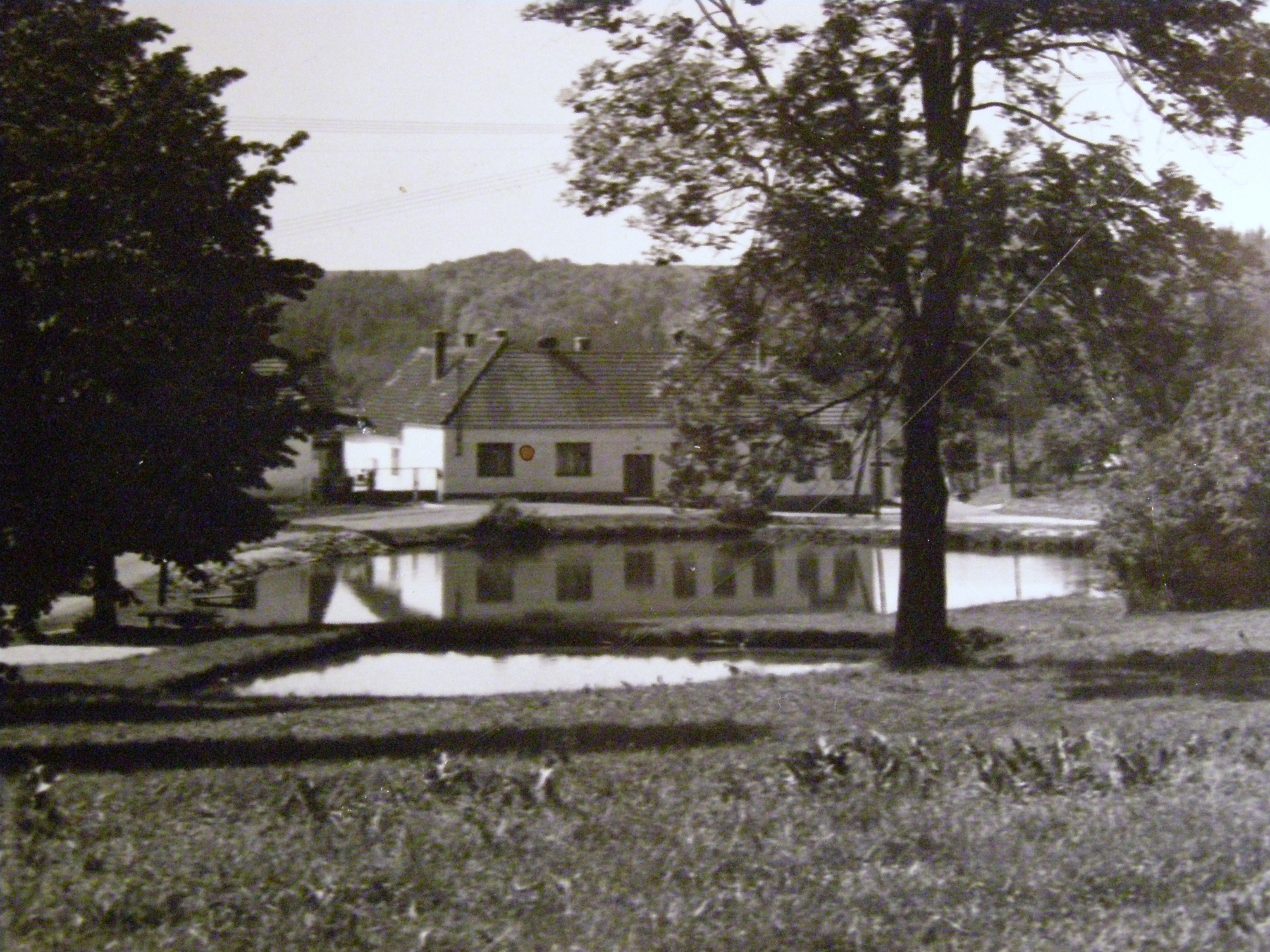 P3170214