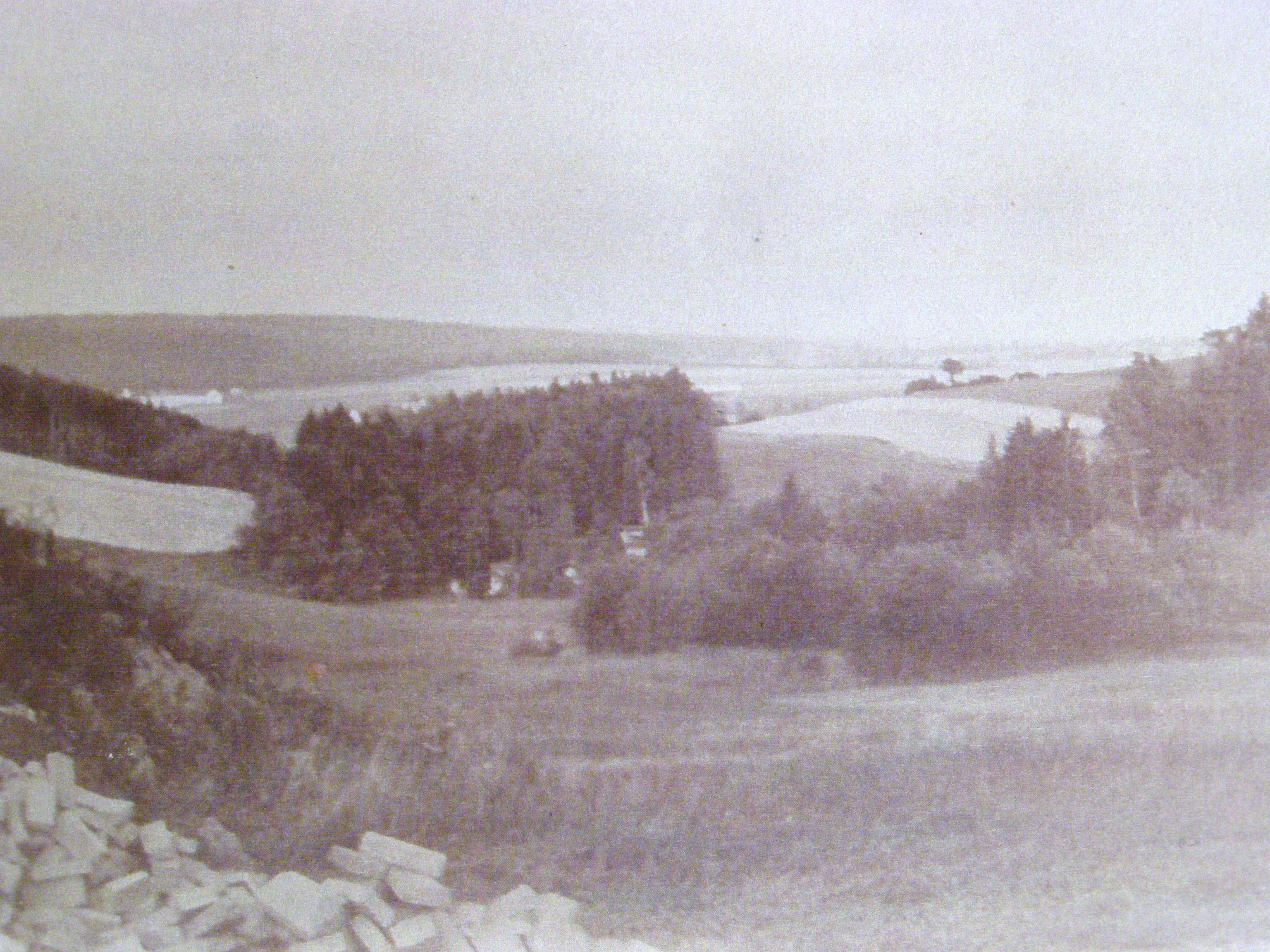 P3160206