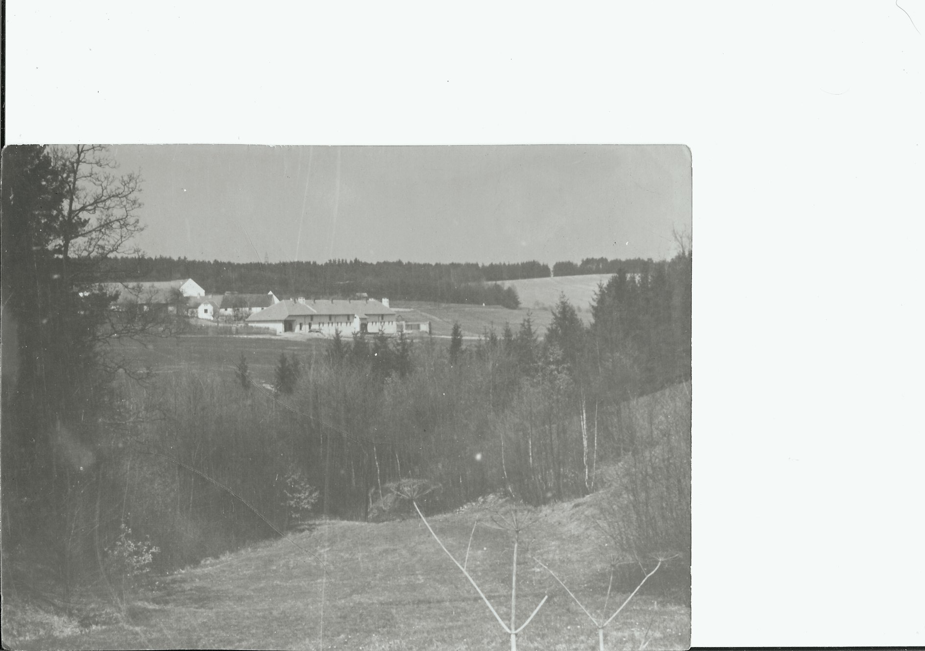 SCAN0051