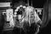 IMG-20220901-WA0019