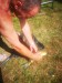 IMG-20230705-WA0014