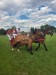IMG-20230723-WA0044