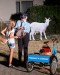 IMG-20230801-WA0004~2